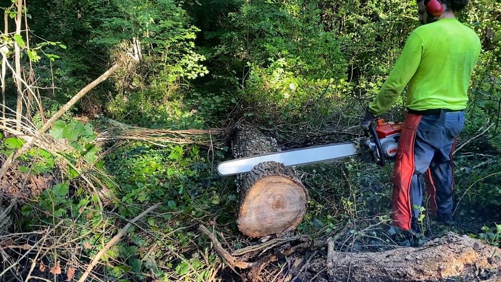 najnowsza sprawa firmy na temat Amerykański robotnik chwali naszą piłę łańcuchową 070 za jej wyjątkową wydajność!