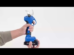 Pruner Auston AES30-5