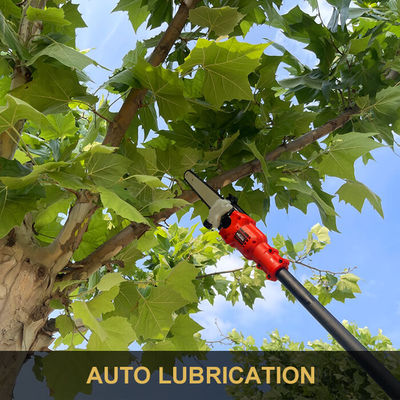 8 Inch Long Pole Chainsaw High Reach Cordless Battery Pruning Saw