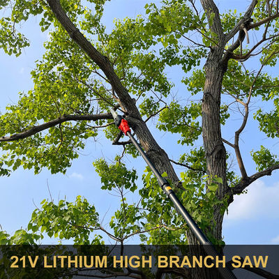 8 Inch Long Pole Chainsaw High Reach Cordless Battery Pruning Saw